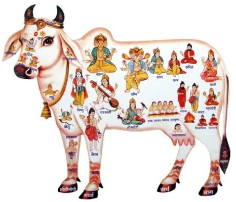 Gau mata